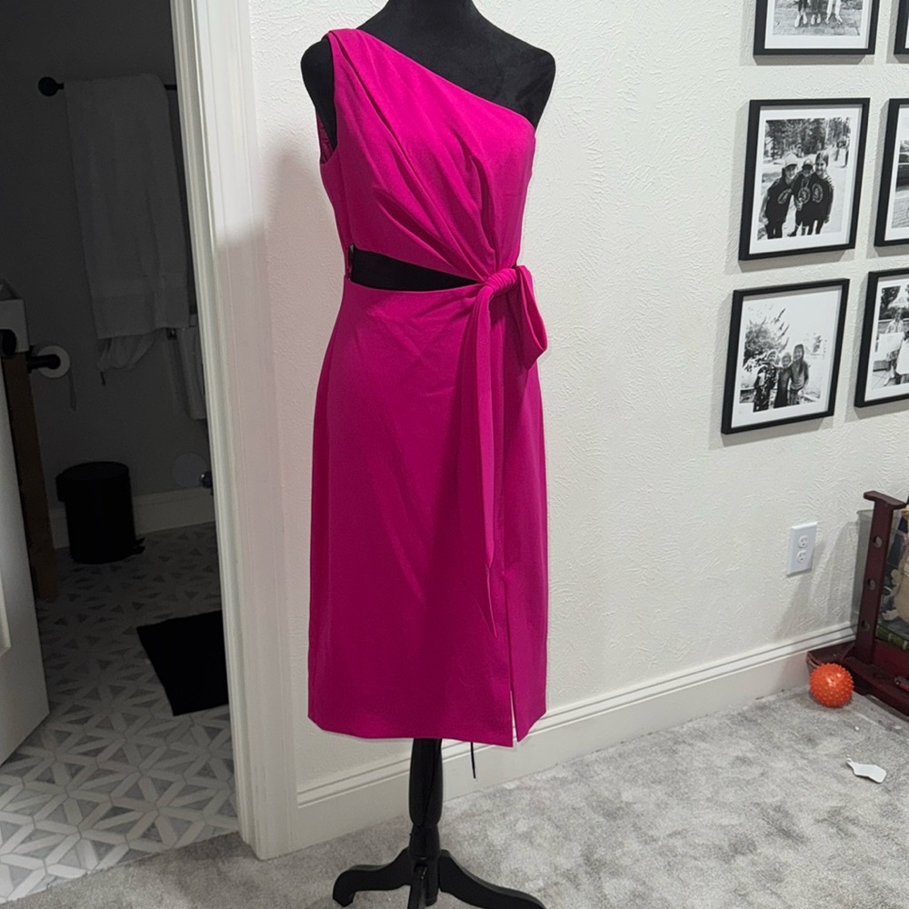 Monique Lhuillier Pink One-Shoulder Dress